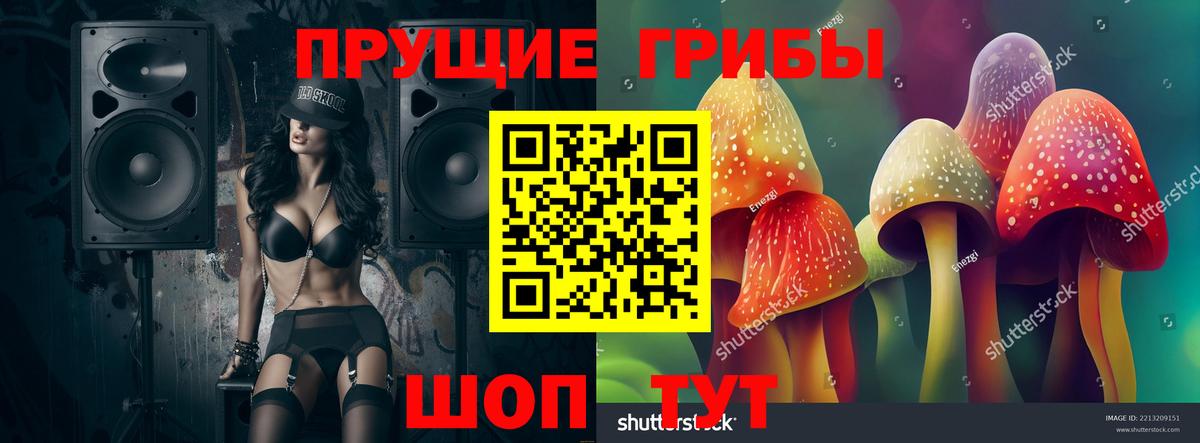Псилоцибиновые грибы Magic Shrooms Городец
