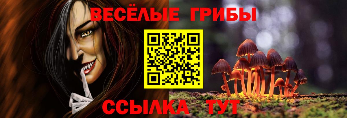 Псилоцибиновые грибы Magic Shrooms  Вход с VPN  Городец 